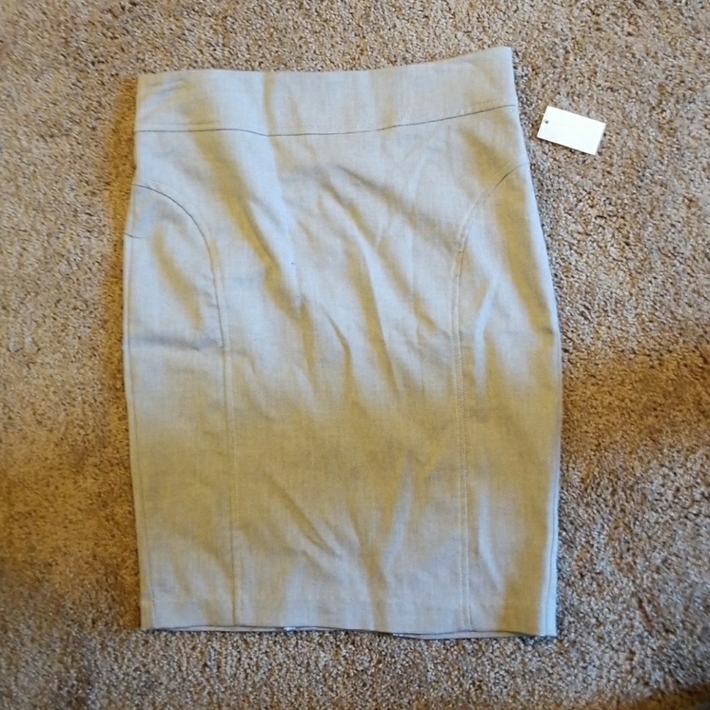 Pencil Skirt